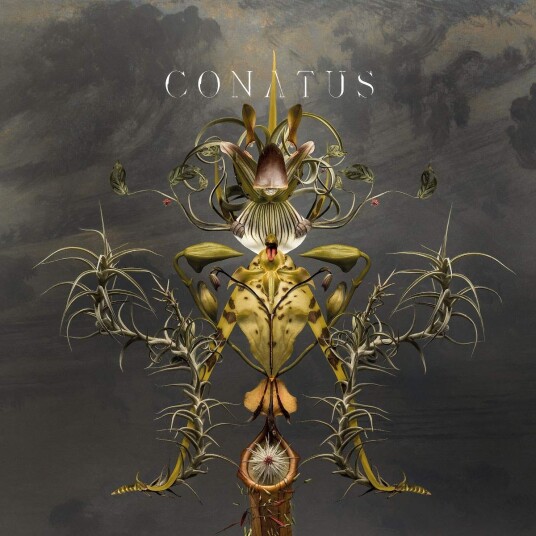 Joep Beving Joep Beving Conatus LP/Vinyl