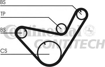 Registerrem CONTITECH CT714