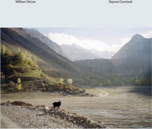 Raynol Overlook Vinyl