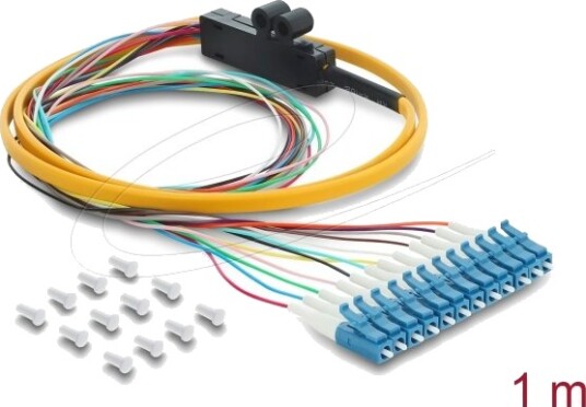 Delock 91050 1 M 12X Lc Pigtail