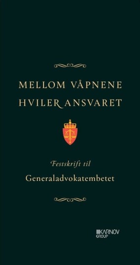 Mellom våpnene hviler ansvaret