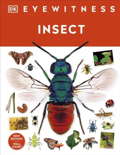 Insect Av Dk