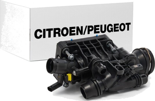 CITROEN/PEUGEOT 9812113780 Termostat, kjølemiddel