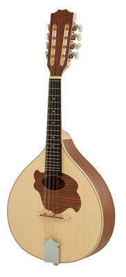 GEWA flat mandolin Pro Natura Silver GEWA flat mandolin Pro Natura Silver