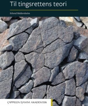 Til Tingsrettens Teori Av Erlend Baldersheim
