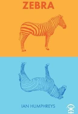 Zebra Av Ian Humphreys Zebra Av Ian Humphreys