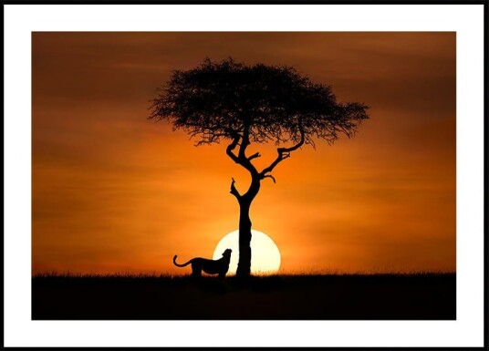 Cheetah at dawn Plakat Plakat / 21x30cm