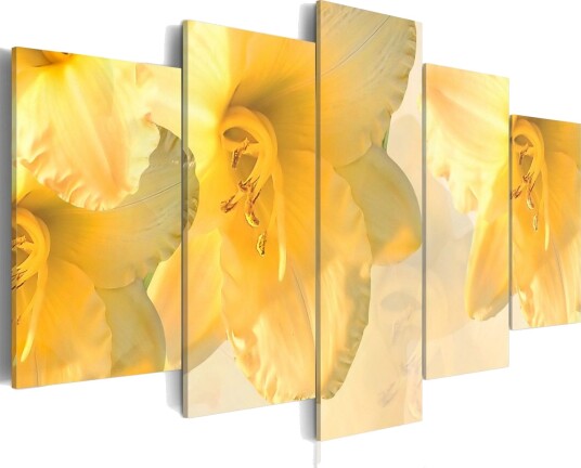 Bilde Dream Lilies 200x100 Artgeist sp. z o. o.