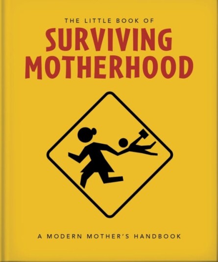 The Little Book of Surviving Motherhood  For Tired Parents Everywhere