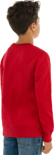 Levis Batwing Crewneck Genser Levis Red/ White (140 / 10 år)