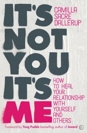 It'S Not You, It'S Me Av Camilla Sacre-Dallerup