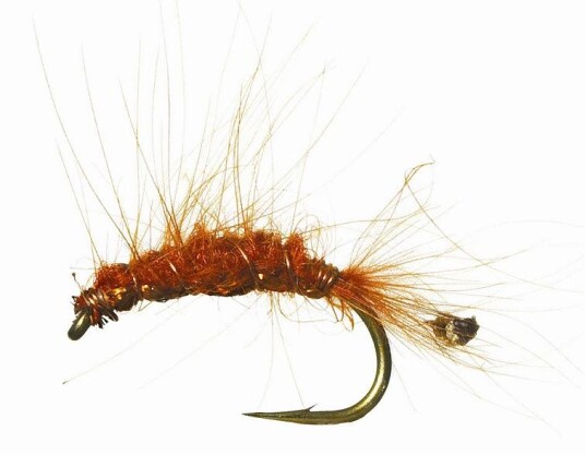 Unique Flies Cdc Tangloppe # 8 Golden Brown