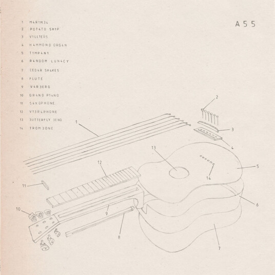 Ass 4 Vinyl