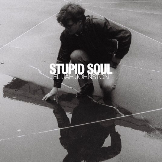 Elijah Johnston Stupid Soul CD
