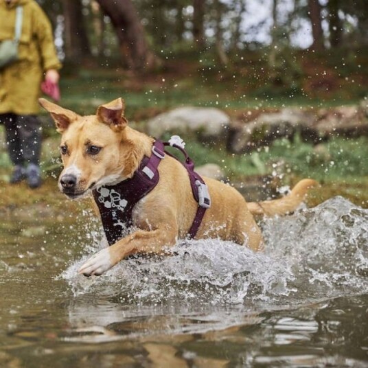 Hurtta Weekend Warrior II ECO Hundesele Lilla (65-80)