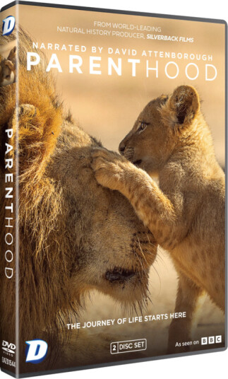 Parenthood Miniserie DVD