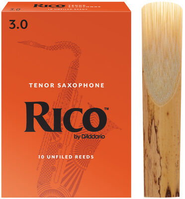 Daddario Woodwinds Rico Tenor Sax 3