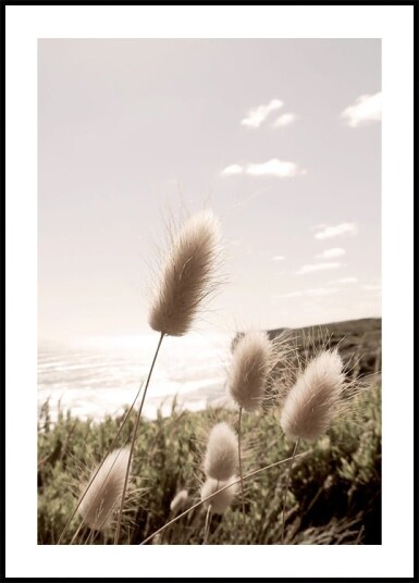 Soft Grass on Mountain Plakat Plakat / 50x70cm Soft Grass on Mountain Plakat Plakat / 50x70cm