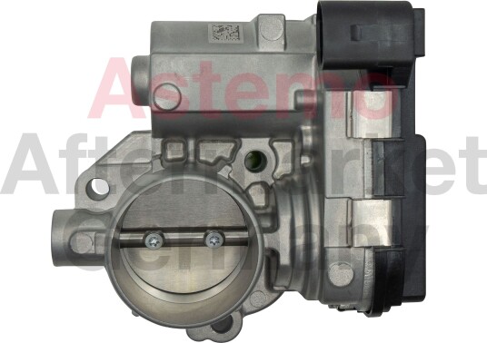 Gasspjeld HITACHI 2509020