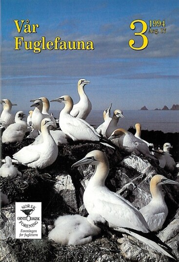 Norsk Ornitologisk Forening Vår Fuglefauna   1994 3 årgang 17