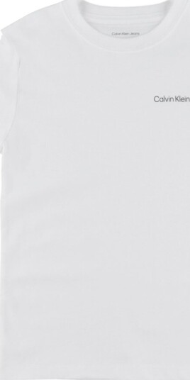 Calvin Klein Small Chest Inst.logo Ss T Shirt White 128