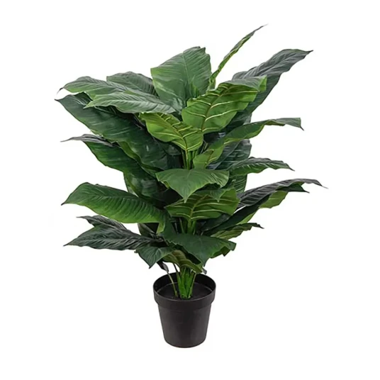 Mr Plant Spathiphyllum Tre 120 cm Mr Plant Spathiphyllum Tre 120 cm