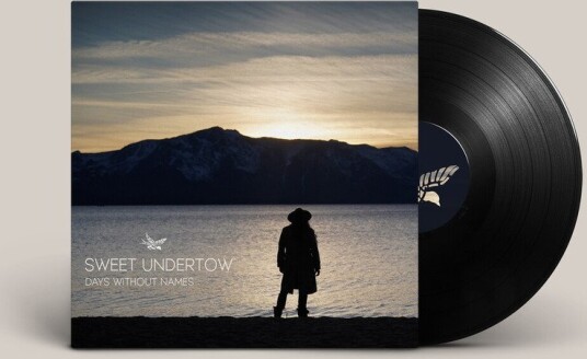 Days Without Names Vinyl