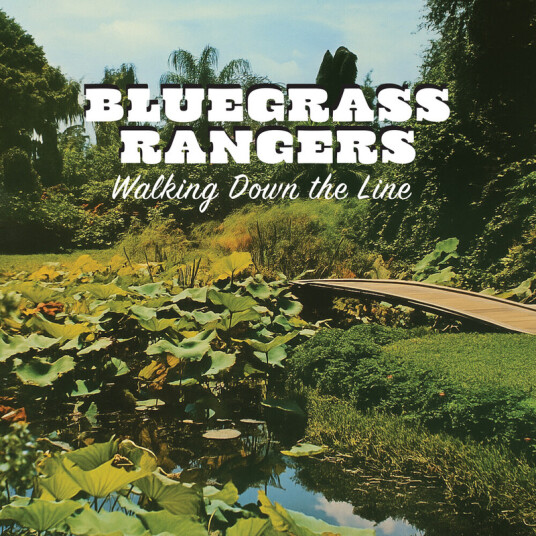 Bluegrass Rangers Walking Down The Line CD