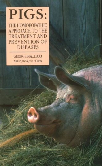 Pigs Av George Macleod