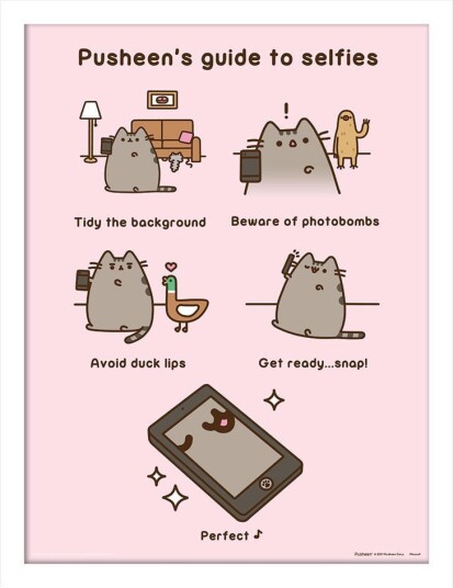 Pusheen Innrammet Bilde 30 x 40 cm Guide To Selfies
