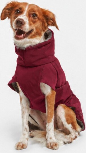 Nomad Tales Spirit Softshell-hundejakke burgunderrød 45 cm 