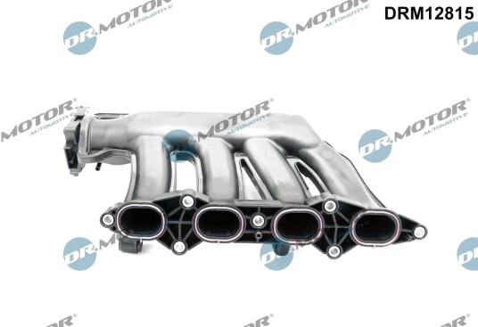 Innsugsmanifold DR.MOTOR AUTOMOTIVE DRM12815 Innsugsmanifold DR.MOTOR AUTOMOTIVE DRM12815