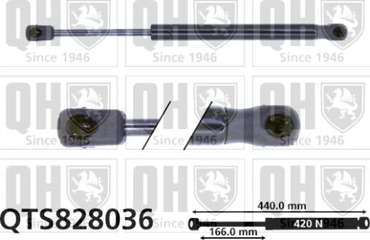 QUINTON HAZELL QTS828036 Baklukedemper