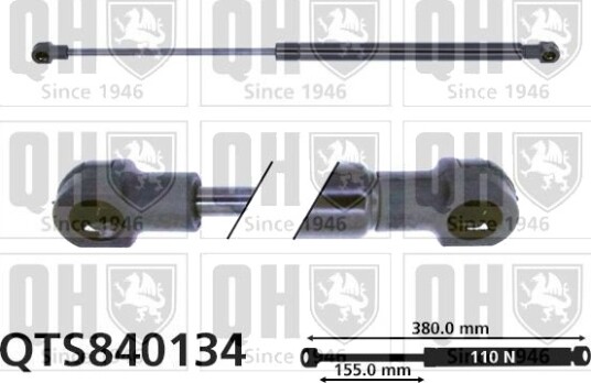 QUINTON HAZELL QTS840134 Baklukedemper