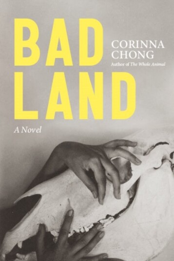 Bad Land Bad Land