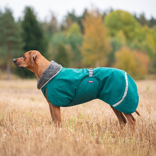 Pomppa Toppa Hundedekken Til Sele Blå/Grønn Pomppa Toppa Hundedekken Til Sele Blå/Grønn