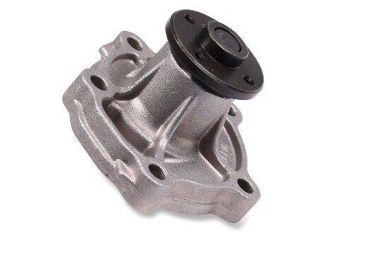 HEPU P7521 Vannpumpe HEPU P7521 Vannpumpe