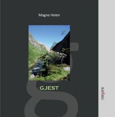 Gjest Av Magne Heien