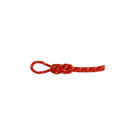 Mammut 8.0 Alpine Core Protect Dry Rope 40m Fire-halo 40 m Mammut 8.0 Alpine Core Protect Dry Rope 40m Fire-halo 40 m