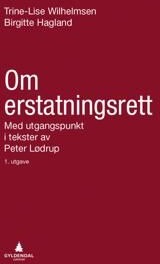 Om Erstatningsrett Av Birgitte Hagland, Trine-Lise Wilhelmsen