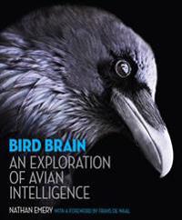 Bird Brain Av Nathan Emery