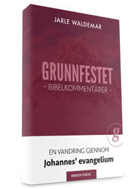 Grunnfestet Av Jarle Waldemar