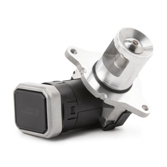 EGR Ventil PIERBURG 7.24809.48.0