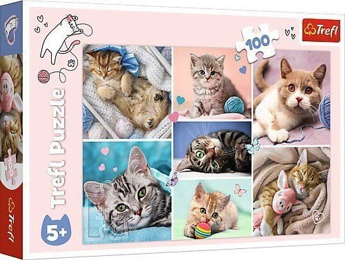 Trefl Puzzle 100 Pieces In The World Of Cats