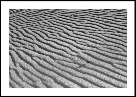Rippled Sand And Insect Plakat / 70x100 Rippled Sand And Insect Plakat / 70x100