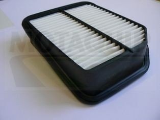 MOTAQUIP VFA1185 Luftfilter