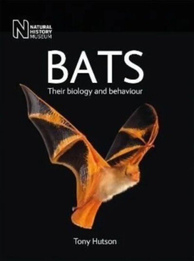 Bats Av Tony Hutson Bats Av Tony Hutson