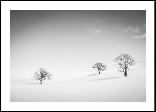 Just the Three of Us Plakat Plakat / 40x50cm