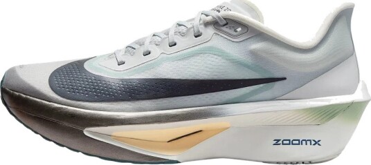 Nike Zoom Fly 6 Flerfarget 40.5