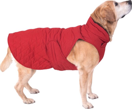 Hundejakke Steppmuster Ca. 70 cm Rygglengde